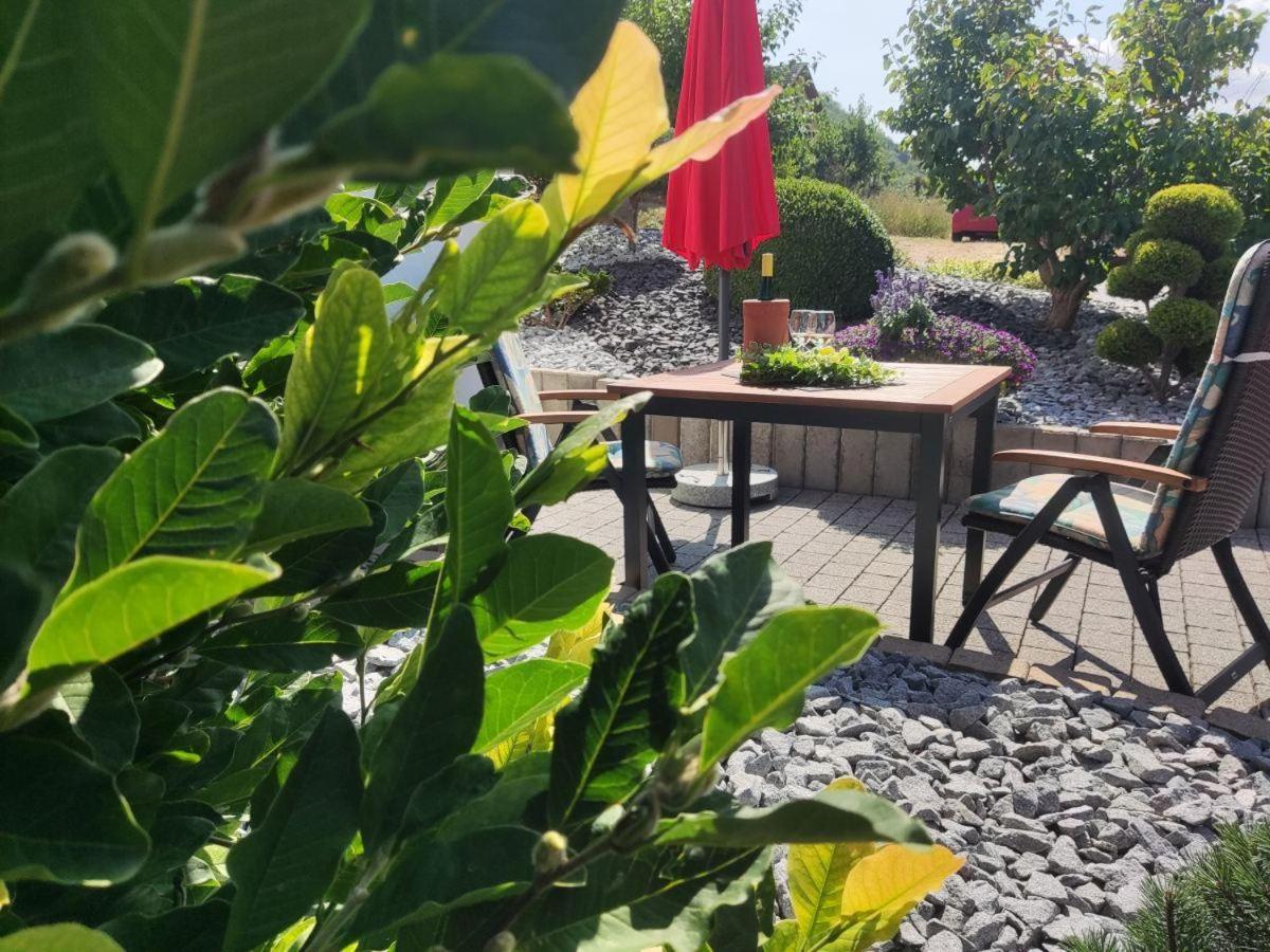 Ferienwohnung Moselzeit 阿尔肯 外观 照片