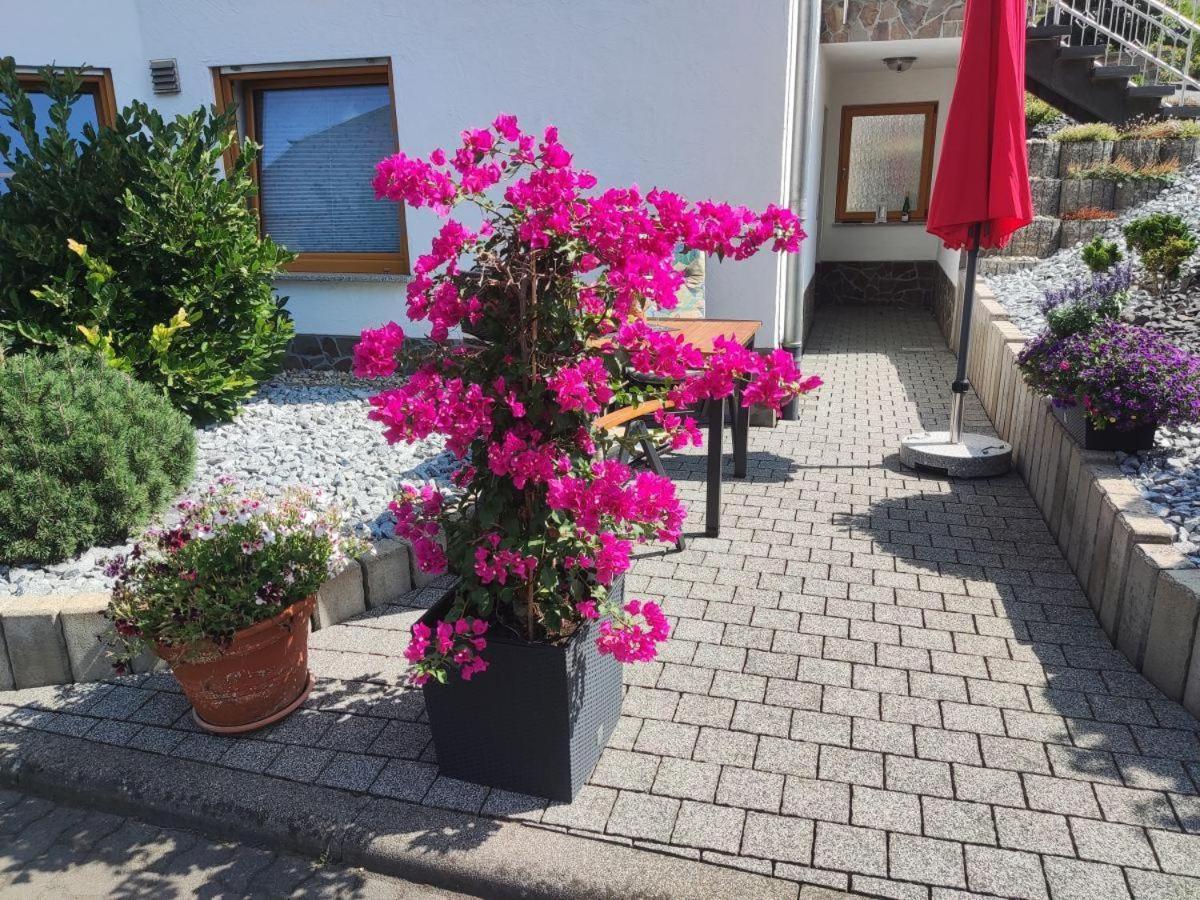 Ferienwohnung Moselzeit 阿尔肯 外观 照片
