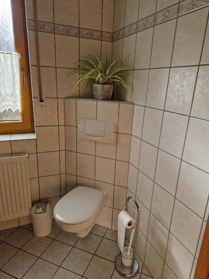 Ferienwohnung Moselzeit 阿尔肯 外观 照片